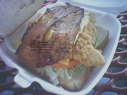 Chicken Club Toaster Sandwich photo