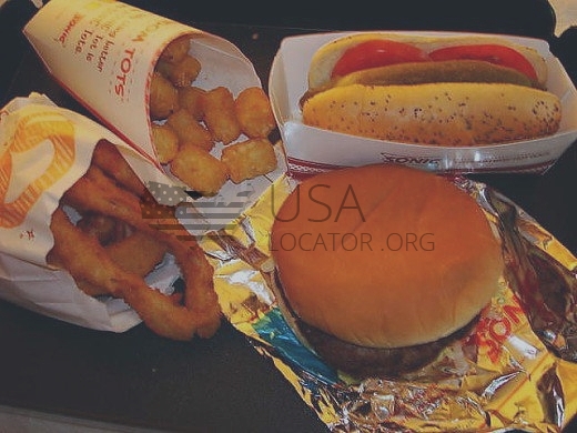 Sonic Burger With Mustard photo