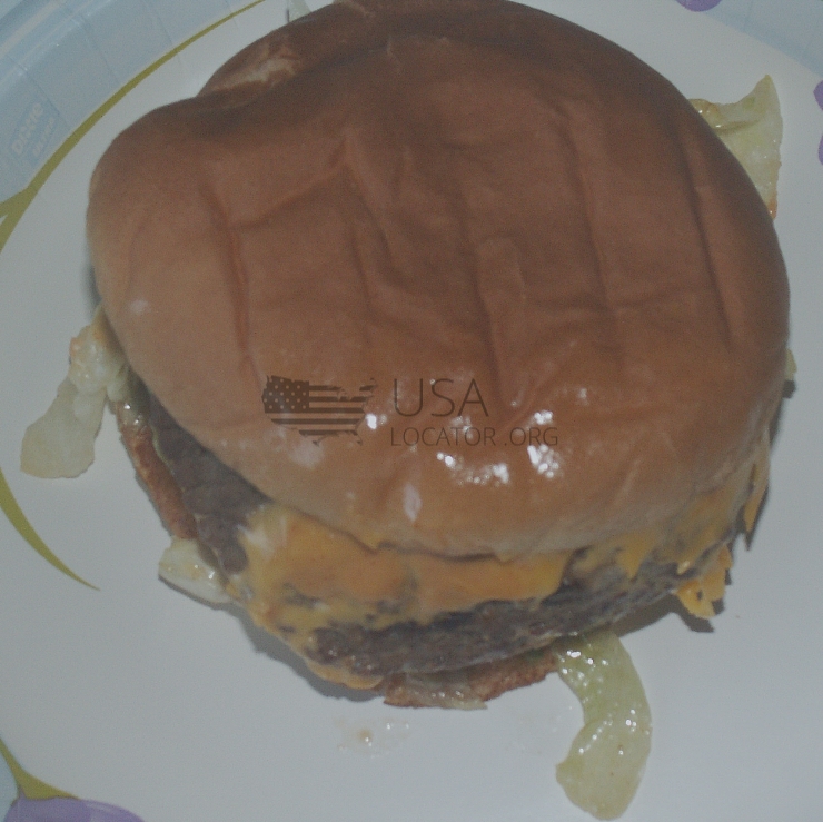 Soniccheeseburger With Mayo photo