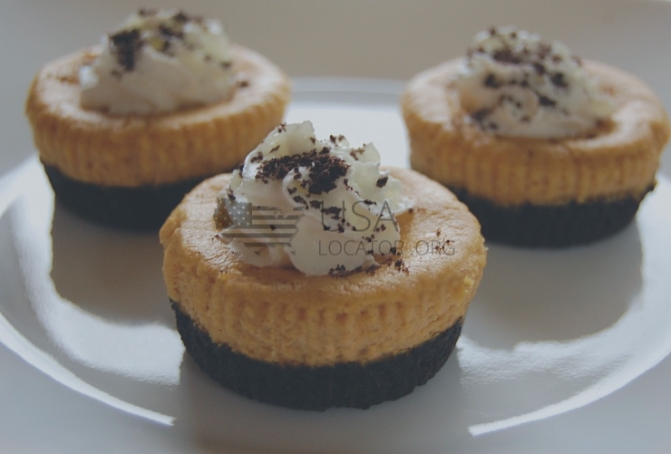 Oreo Cheesecake Malt Mini photo