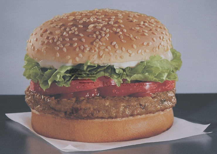 Veggie Burger With Mayo photo