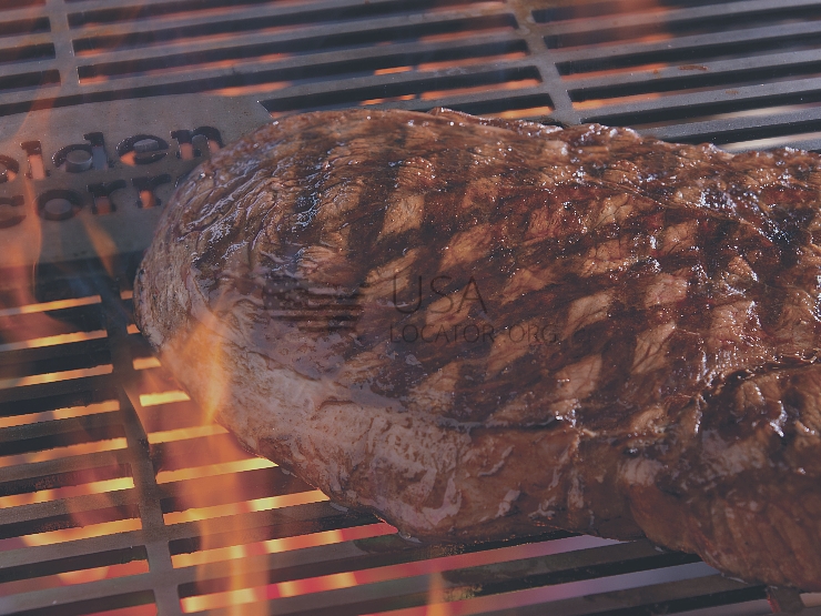 Beef, Salisbury Steak photo