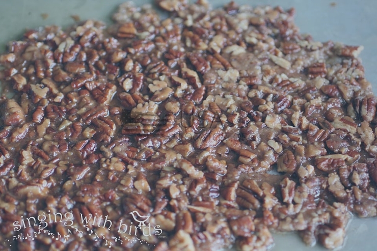 Nuts, Pecan Praline Pieces photo