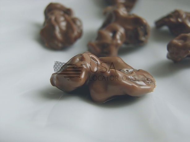 Raisins, Chocolate Covered photo