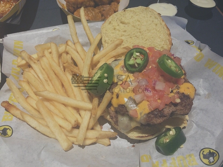 Screamin Nacho Burger photo
